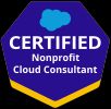Non Profit Cloud Consultant